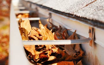 Elderslie gutter cleaning companies