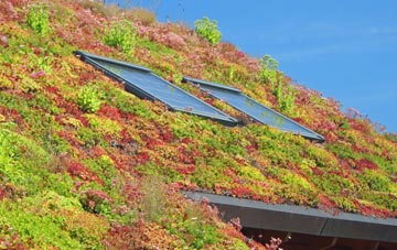 Elderslie living roof systems