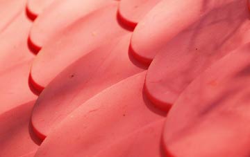 Elderslie plastic roof costs