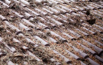 Elderslie roof cleaning companies