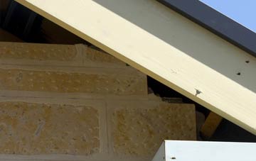 soffit repair Elderslie