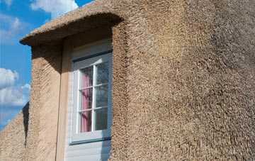 Elderslie thatch roof disadvantages