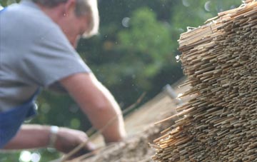 professional Elderslie thatchers