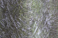 Elderslie fibreglass roof work