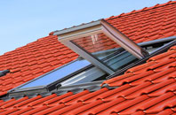 Elderslie roof window