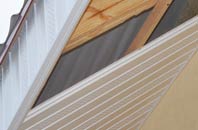 rated Elderslie soffit repair companies